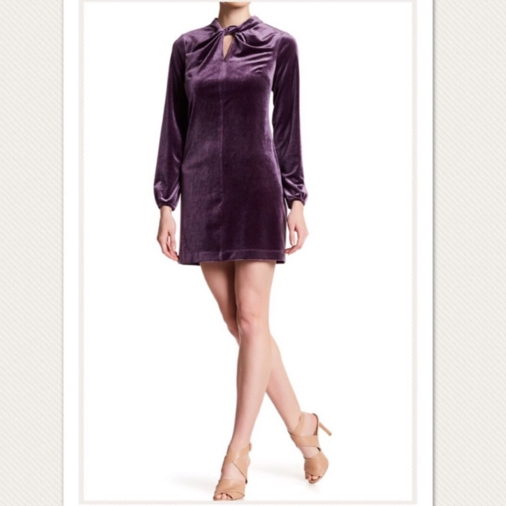 Cynthia Steffe Purple Velvet Long-sleeve Twist-neck Formal Dress. Size 4.